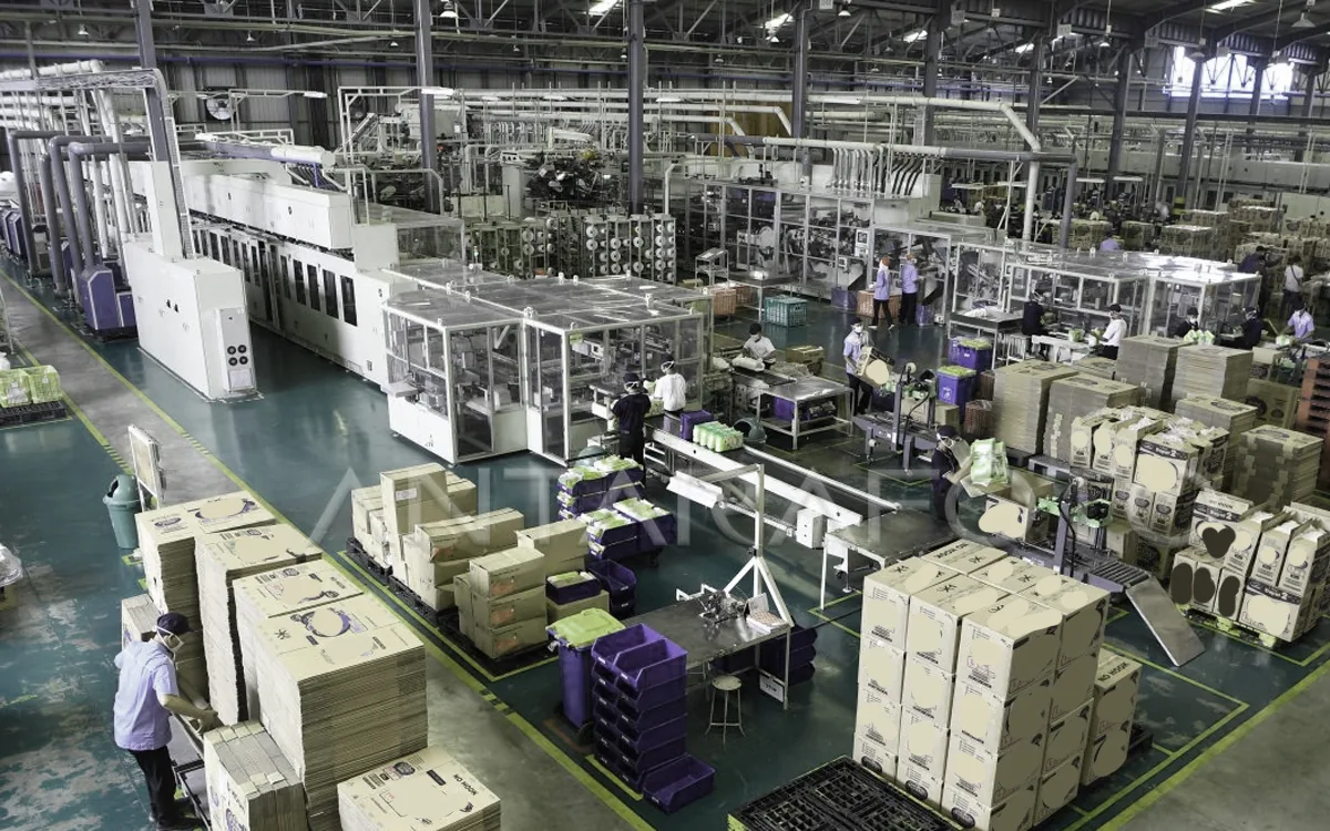 Ilustrasi Printing & Packaging